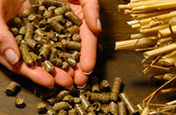 free Reed Point biomass boiler quotes